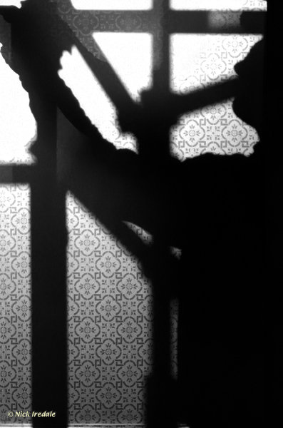 Silhouette Renderer 3